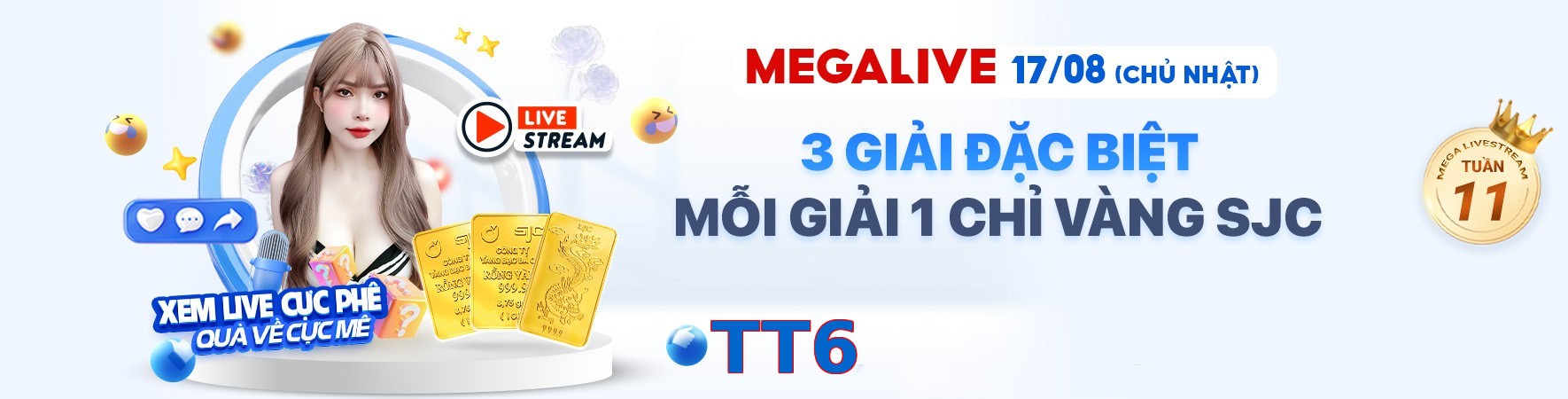 TT6